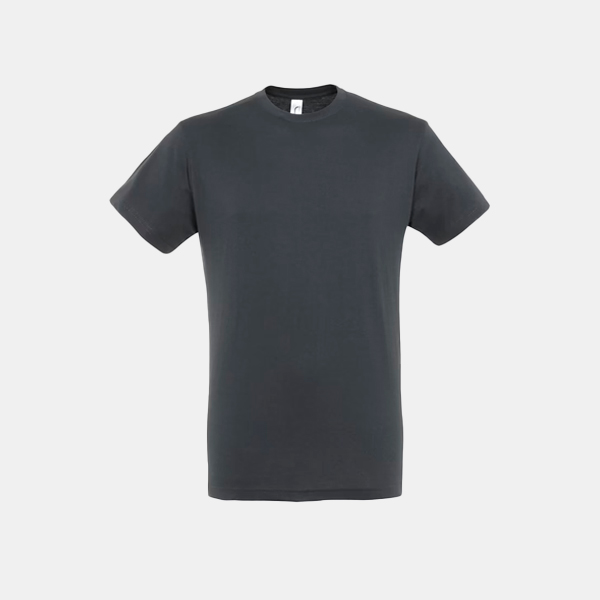 Camiseta-manga-corta-unisex-sols-regent-gris-raton